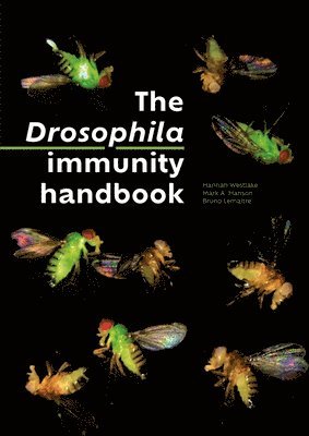 bokomslag Drosophila Immunity Handbook