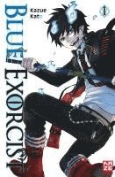 bokomslag Blue Exorcist 01