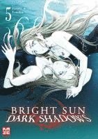 bokomslag Bright Sun - Dark Shadows - Band 5