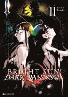 bokomslag Bright Sun - Dark Shadows - Band 11