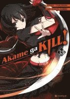 bokomslag Akame ga KILL! 13