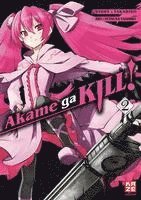 bokomslag Akame ga KILL! 2