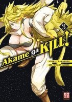 bokomslag Akame ga KILL! 03