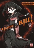 bokomslag Akame ga KILL! 05