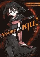 bokomslag Akame ga KILL! 05