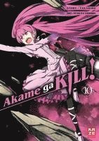 bokomslag Akame ga KILL! 10