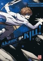 bokomslag Akame ga KILL! 11
