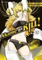 bokomslag Akame ga KILL! 12