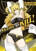 Akame ga KILL! 12 1