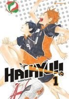 Haruichi Furudate - Haikyu!! 01, Häftad