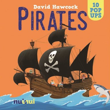 bokomslag Pirates