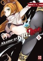 bokomslag Akame ga KILL! ZERO 04