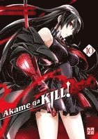 bokomslag Akame ga KILL! ZERO - Band 10 (Finale)