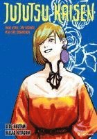 bokomslag Jujutsu Kaisen: Light Novels - Band 2 (Finale)