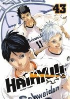 bokomslag Haikyu!! - Band 43