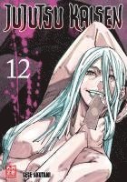 bokomslag Jujutsu Kaisen - Band 12