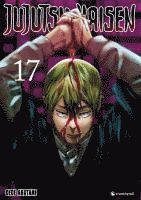 bokomslag Jujutsu Kaisen - Band 17