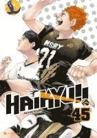 bokomslag Haikyu!! - Band 45 (Finale)