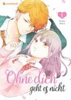 bokomslag Ohne dich geht es nicht - Band 1