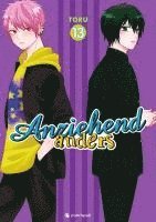 bokomslag Anziehend anders - Band 13