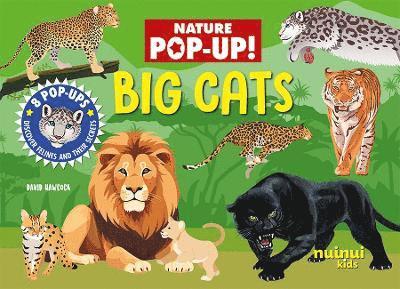 Big Cats 1