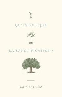 bokomslag Qu'est-ce que la sanctification ?