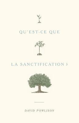 bokomslag Qu'est-ce que la sanctification ?