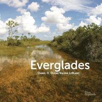 bokomslag Everglades