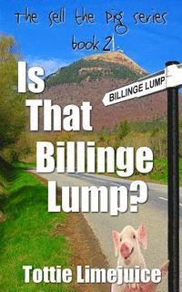 bokomslag Is that Billinge Lump?