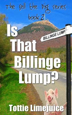 bokomslag Is that Billinge Lump?