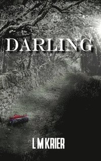 bokomslag Darling