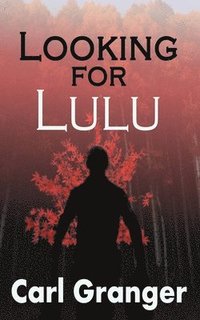bokomslag Looking for Lulu