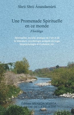 Promenade spirituelle en ce monde 1
