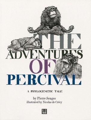 Adventures of Percival 1