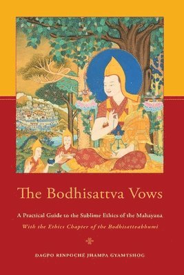 bokomslag Bodhisattva Vows