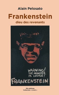 bokomslag Frankenstein le dieu des revenants