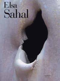 bokomslag Elsa Sahal