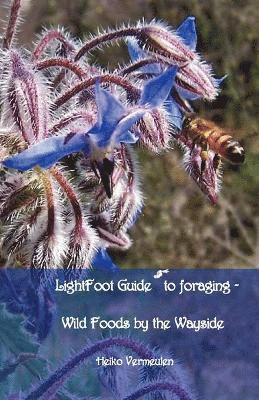 Heiko Vermeulen - Lightfoot Guide to Foraging - Wild Foods by the Wayside, Häftad