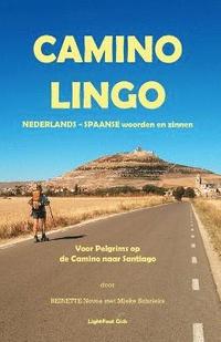 bokomslag Camino Lingo - Nederlands - Spaanse Woorden En Zinnen