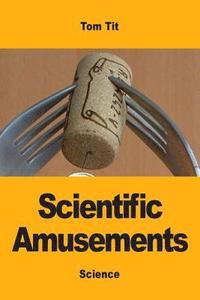 bokomslag Scientific Amusements