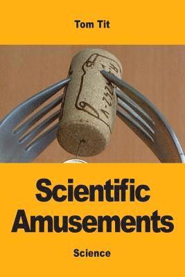 bokomslag Scientific Amusements