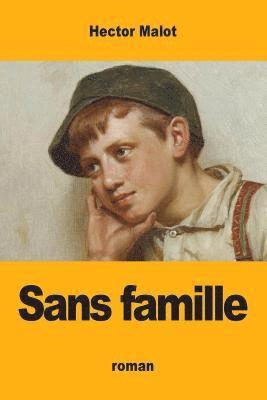 Hector Malot - Sans famille, Häftad