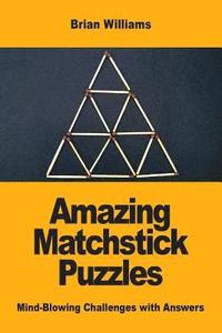 bokomslag Amazing Matchstick Puzzles