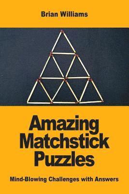 bokomslag Amazing Matchstick Puzzles