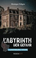 bokomslag Im Labyrinth der Gefahr