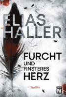 bokomslag Furcht und finsteres Herz