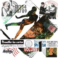 bokomslag Brouiller les cartes - Volume 01