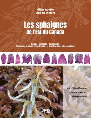 bokomslag Les sphaignes de l'Est du Canada