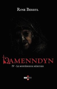 bokomslag Damenndyn - Le mystrieux hritier