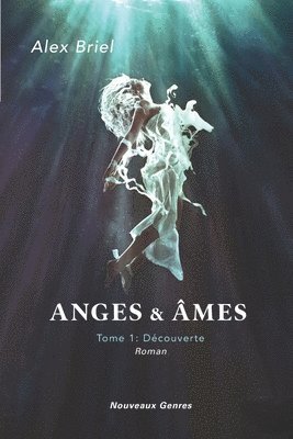 bokomslag Anges & Âmes: Tome 1: Découverte